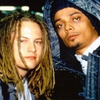 Biografía Bomfunk Mc`s