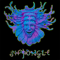 Biografía Shpongle