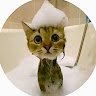 User_12365