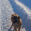 User_15945