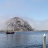 User_16442