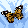 User_2974