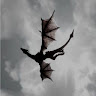 ggirl Good (@User_4672)