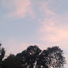 Ярослава Кучер (@User_7221)