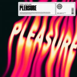 Portada HAWK - Pleasure (feat. Azooland)