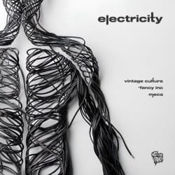 Portada Vintage Culture, Fancy Inc, Meca - Electricity