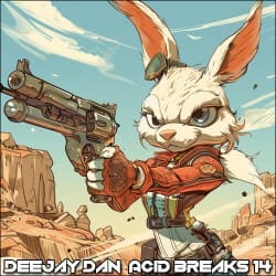 Portada DeeJay Dan - Acid Breaks 14 [2024]