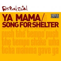 Portada Fatboy Slim - Song for Shelter