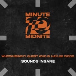 Portada WHOWHENWHY, Guest Who & Haylee Wood - Sounds Insane (Extended Mix)