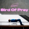 Portada Ziferblat - Bird of Pray Ziferblat - Bird of Pray