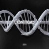 Portada SHADU - CONTIGO SHADU - CONTIGO