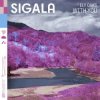 Portada Sigala - With You (feat. Ely Oaks) Sigala - With You (feat. Ely Oaks)