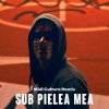 Portada Carla`s Dreams - Sub pielea mea (Midi Culture Remix) Carla`s Dreams - Sub pielea mea (Midi Culture Remix)