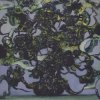 Portada The Caretaker - Long Term Dusk Glimpses The Caretaker - Long Term Dusk Glimpses