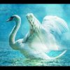 Portada Lacross - Save Me (Swan Lake) Lacross - Save Me (Swan Lake)