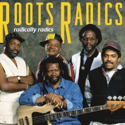 Portada Roots Radics - Everything