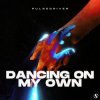 Portada Pulsedriver - Dancing On My Own Pulsedriver - Dancing On My Own