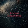 Portada DA TI - RUN LIKE FORREST GUMP (SIRIN INCI REMIX) DA TI - RUN LIKE FORREST GUMP (SIRIN INCI REMIX)