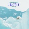 Portada Leonardus - Lovestruck Leonardus - Lovestruck