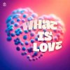 Portada SYNFLO & Niki Four - What Is Love SYNFLO & Niki Four - What Is Love