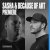 Portada Sasha feat. Because Of Art - Fused