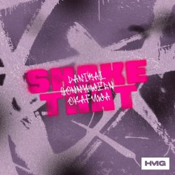 Portada Danimal & Sonny Wern - Shake That