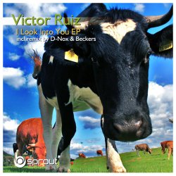 Portada Victor Ruiz - I Look Into You