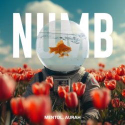 Portada Linkin Park - Numb (Mentol Remix) Aurah Cover