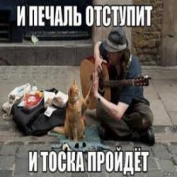 Portada Ноль - Человек И Кошка