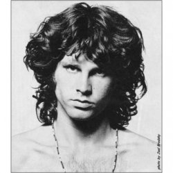 Portada The Doors - Wild Child