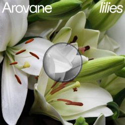 Portada Arovane - Pink Lilies