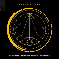 Portada Pendulum & Armin van Buuren & Rob Swire - Sound of You