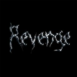 Portada The Revenge - Every Night