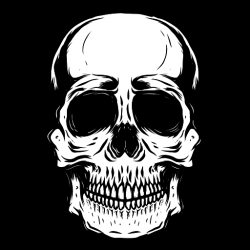 Portada ZiiiOUA