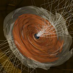 Portada Wellenfeld - Black Hole