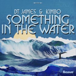 Portada DT James & Kimbo - Something In The Water