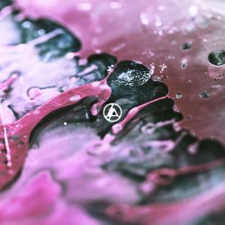 Portada Linkin Park - Cut the Bridge