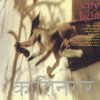 Portada Bill Laswell - Scratch Code Bill Laswell - Scratch Code