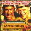 Charly Lownoise & Mental Theo - Rockin Party (Remix)