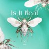 Portada Kabo - Is It Real (Extended Mix) Kabo - Is It Real (Extended Mix)