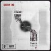 Portada Sullivan King - CHAOS WILL BRING PEACE Sullivan King - CHAOS WILL BRING PEACE