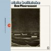Portada Alain Bellaiche - Sea Fluorescent Alain Bellaiche - Sea Fluorescent