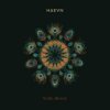 Portada HAEVN & Lily Meola - Till the Morning HAEVN & Lily Meola - Till the Morning