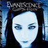 Evanescence - Tourniquet