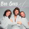 Portada Bee Gees - Wildflower Bee Gees - Wildflower