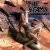 Portada Bombs Away - Lunatics