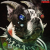 Portada Machine Girl - Batsu Forever