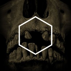 Portada Lustmord - Insignificance