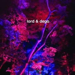 Portada Dego - Revelation