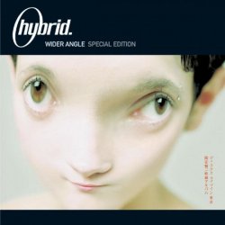 Portada Hybrid - Make A Move